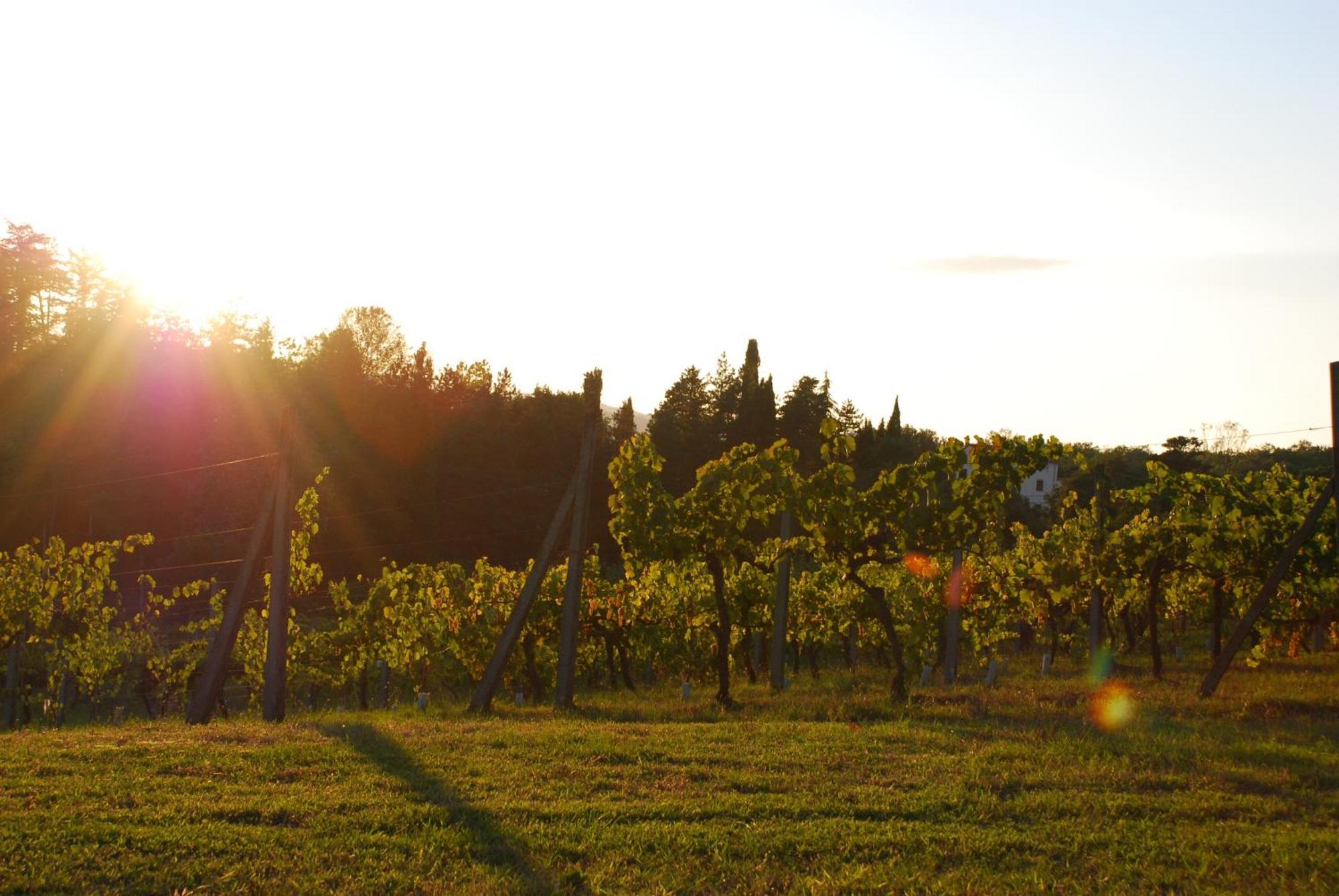 Agriturismo Il Sasso Anghiari Eksteriør billede